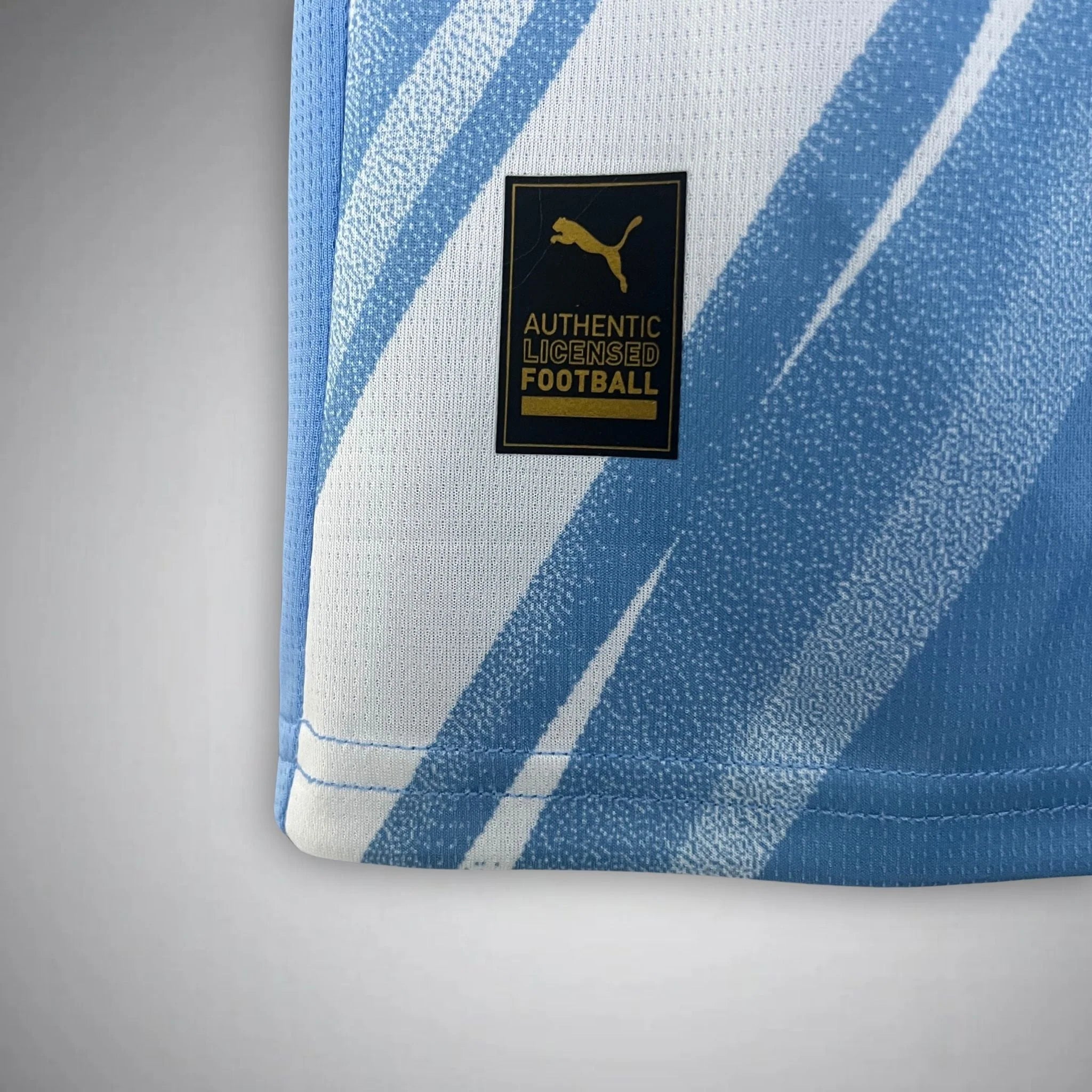 MANCHESTER CITY 2025/26