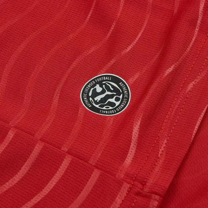 PORTUGAL 2025/26 World Cup