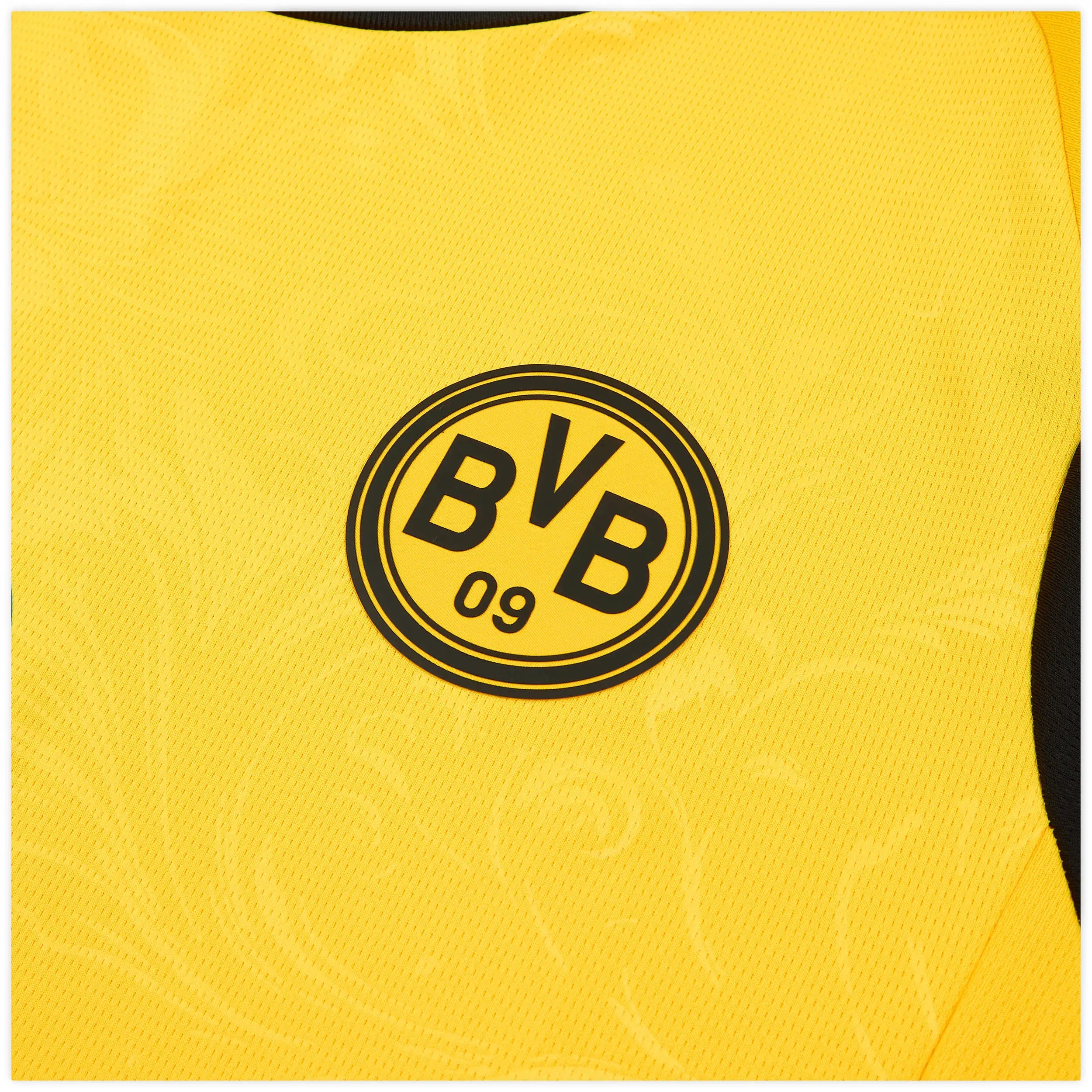 BORUSSIA DORTMUND CUP 2025/26