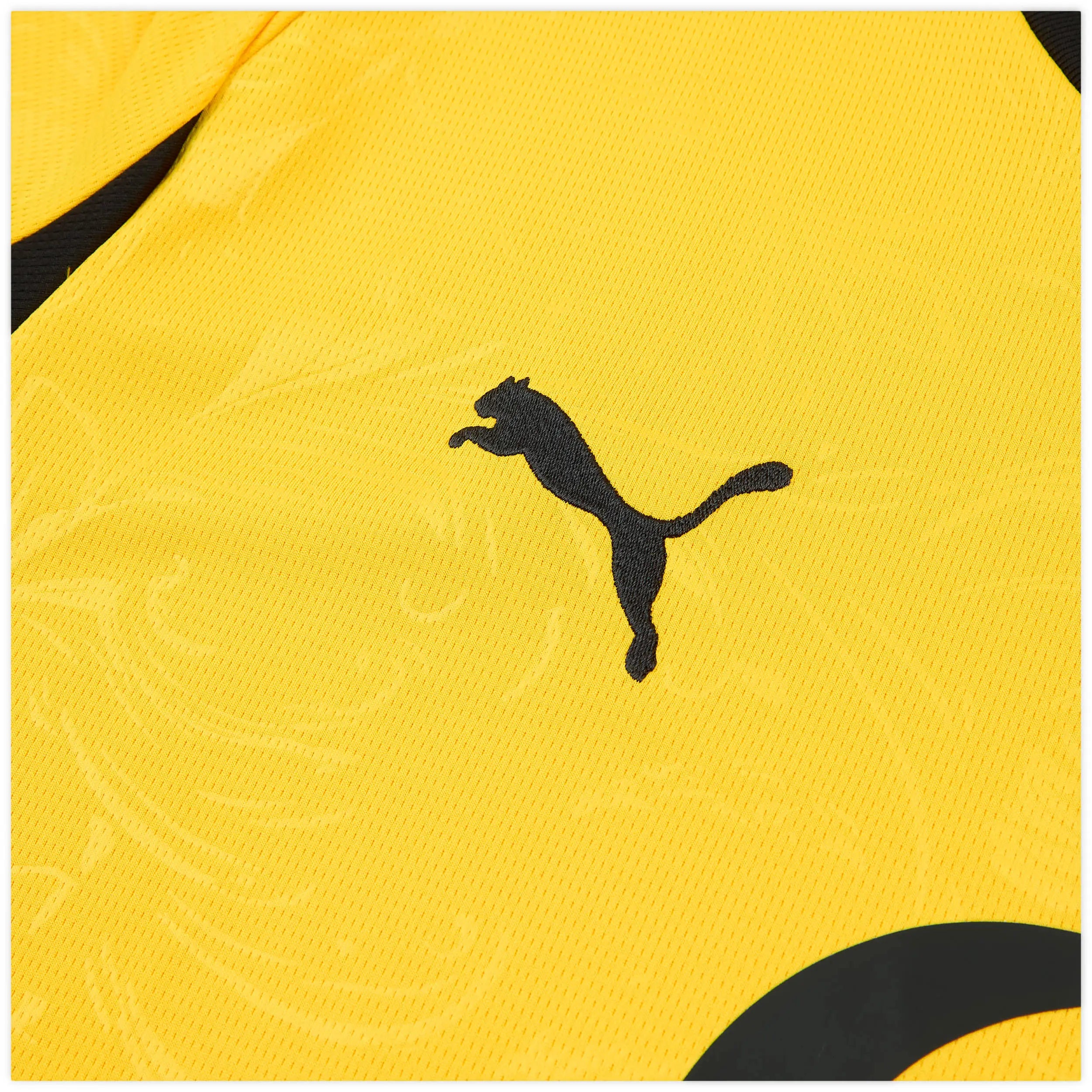 BORUSSIA DORTMUND CUP 2025/26