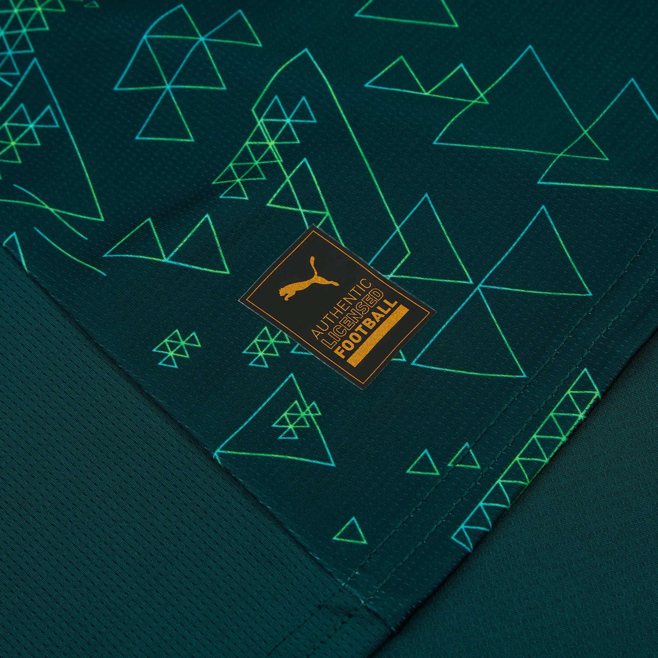 MANCHESTER CITY 2025/26