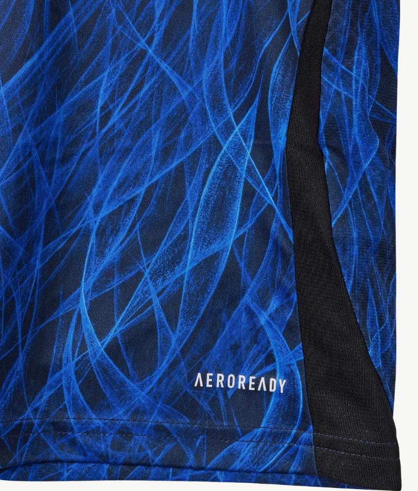 JAPAN JUNIOR 2024/25