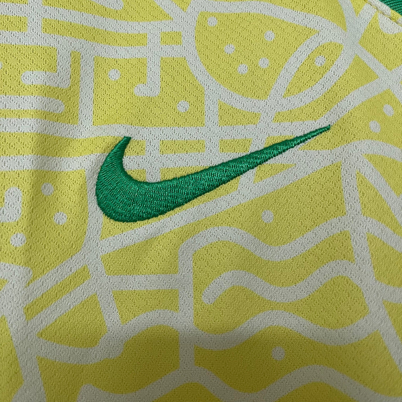 BRAZILIË 2024/25
