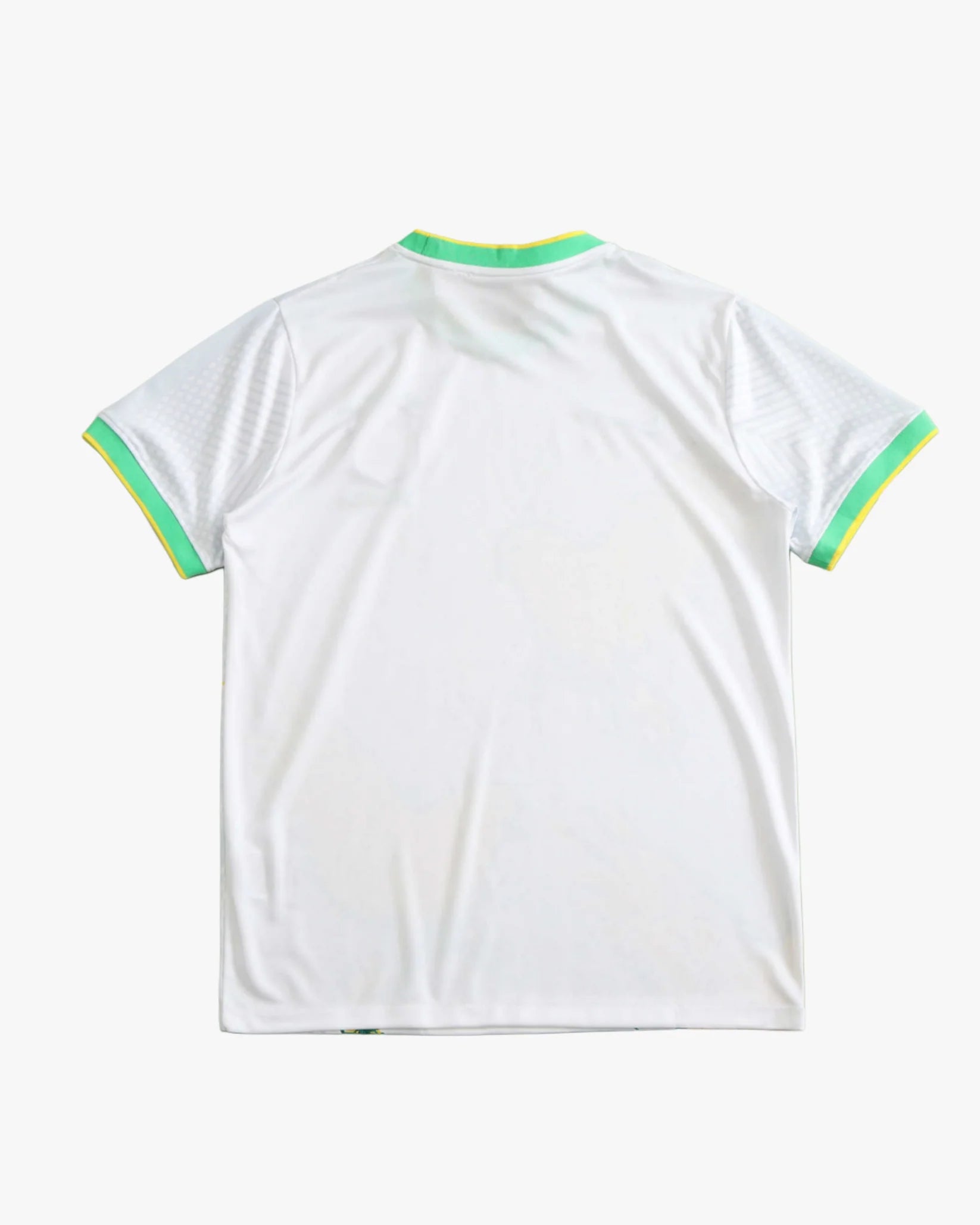 BRAZIL CANARINHO FLIGHT 2025 | SPECIAL EDITION