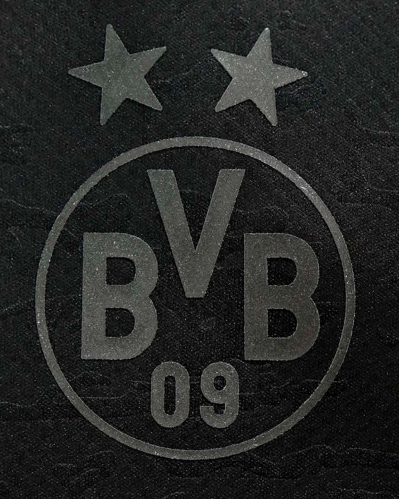 BORUSSIA DORTMUND 2023/24 | SPECIAL EDITION