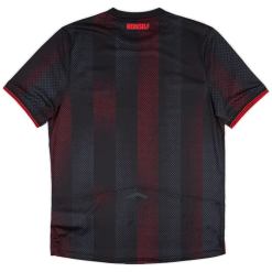 Alternative view of BAYER LEVERKUSEN 2025/26