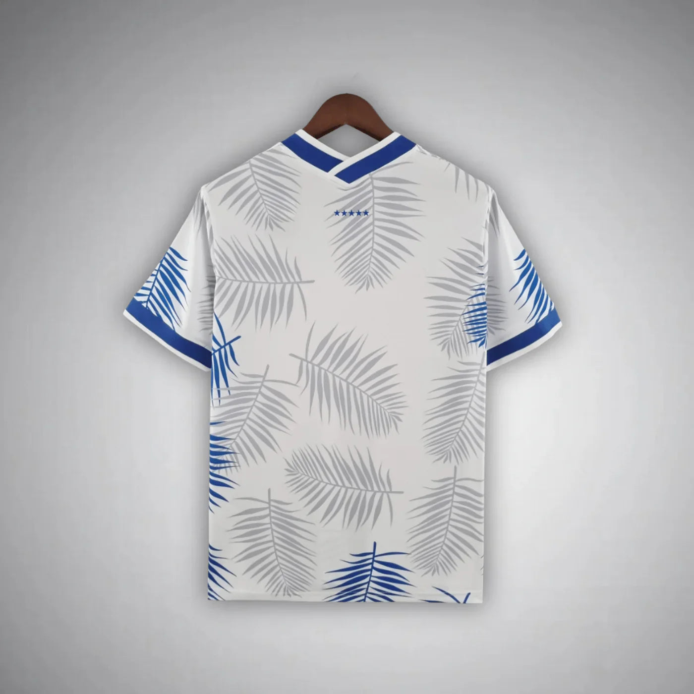 BRAZIL BRUMA FOLHA 2025 | SPECIAL EDITION – Class Football Jersey